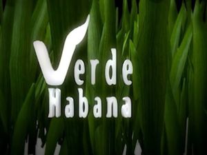 Verde habana.jpg