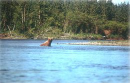 Andreafsky River AK.jpg