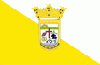 Bandera de Juana Díaz