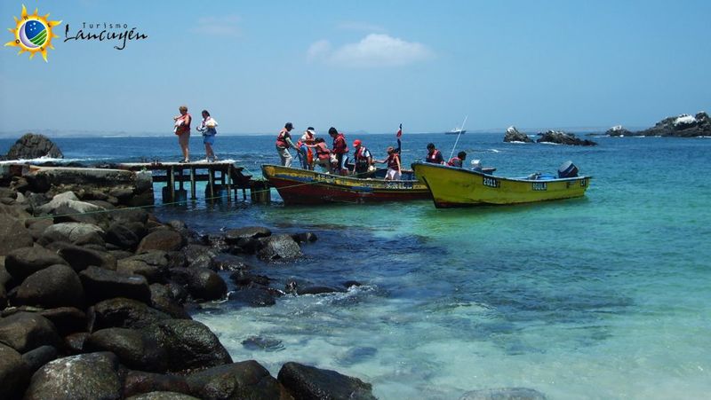 Archivo:Tour-isla-damas-punta-de-choros-12-1024x577.jpg