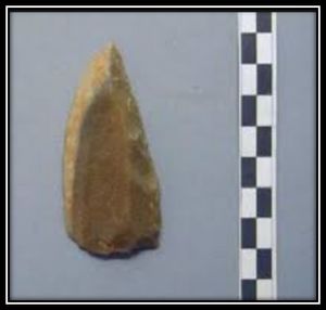 Cuchillo de dorso.jpg