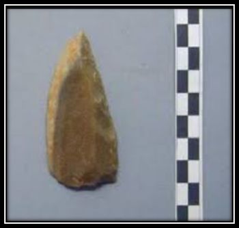 Cuchillo de dorso.jpg