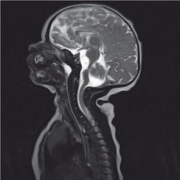 Crpm-2012-0028 fig1.jpg