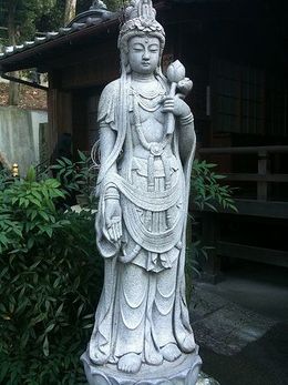 Kannon D.jpg