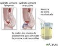 Miniatura de la versión del 11:53 11 jun 2015