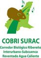 Miniatura de la versión del 10:18 23 nov 2022