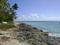 Dsc056751.jpg