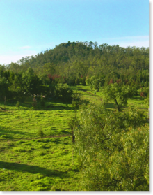 Cerro de la estrella.png
