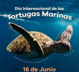 DiaInternacTortMarinas16deJunio.png