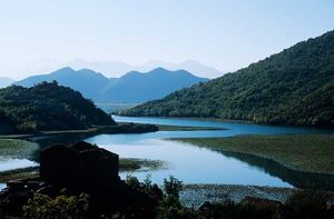 Lago skadar.jpg