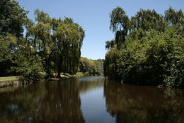 Rio Suquia.jpg