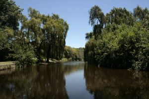 Rio Suquia.jpg