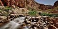 Wadi-El-Gemal-08.jpeg