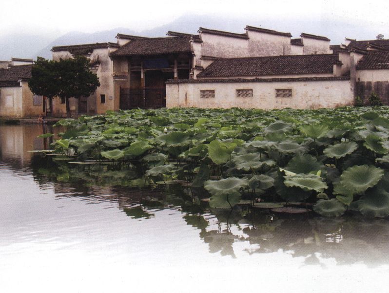 Archivo:Academia de la Laguna Meridional.jpg