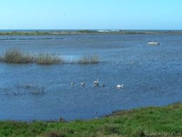 Camping-Pichilemu-Laguna-Petrel-300x225.jpg