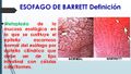 Miniatura de la versión del 13:33 14 dic 2018
