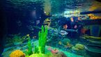 Lisbon-Oceanarium-54049.jpg
