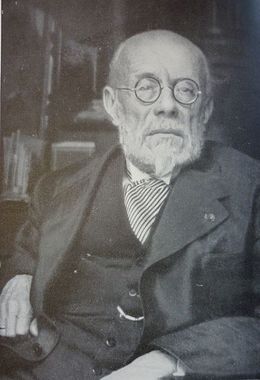 Émile Auguste Joseph De Wildeman.jpeg