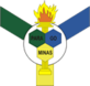 Bandera de Paragominas