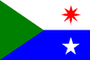Bandera de La Asunción