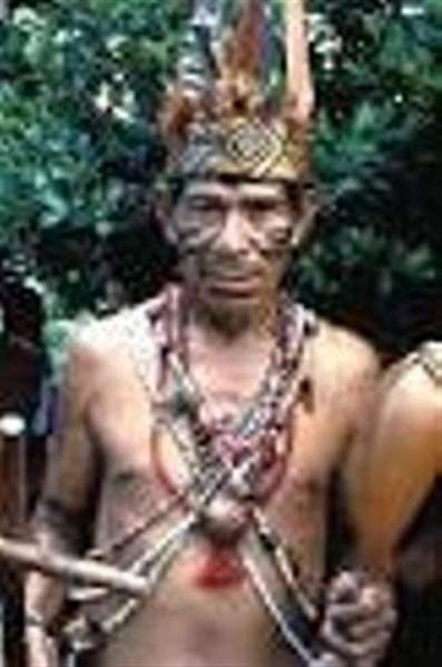 Archivo:Guarani1.jpg