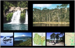 RESERVA m,CHILE.JPG