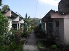 Raizu.jpg