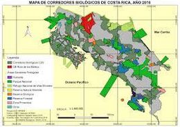 CBMalcumapa.jpg