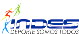 Logo indes.png