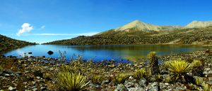 Parque Nacional General Juan Pablo Peñaloza.jpg