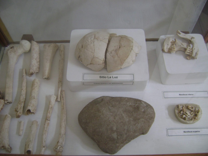 Archivo:Restos humanos museolamaya.JPG