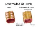 Miniatura de la versión del 14:46 11 dic 2017