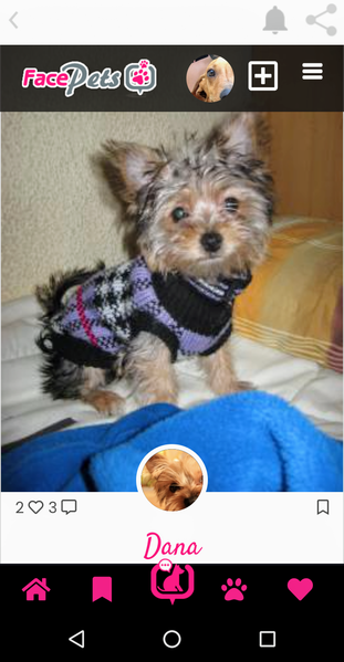 Archivo:MiFielAmigo6.png