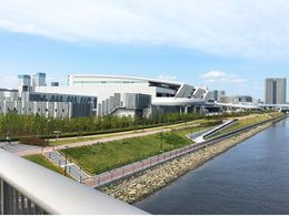 Toyosu-mercado.jpg