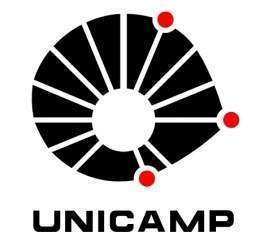 Logo Unicamp02.jpg