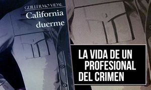 La-vida-de-un-profesional-del-crimen.jpg