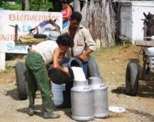 Lagarita.jpg
