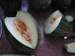 Melon m.jpg