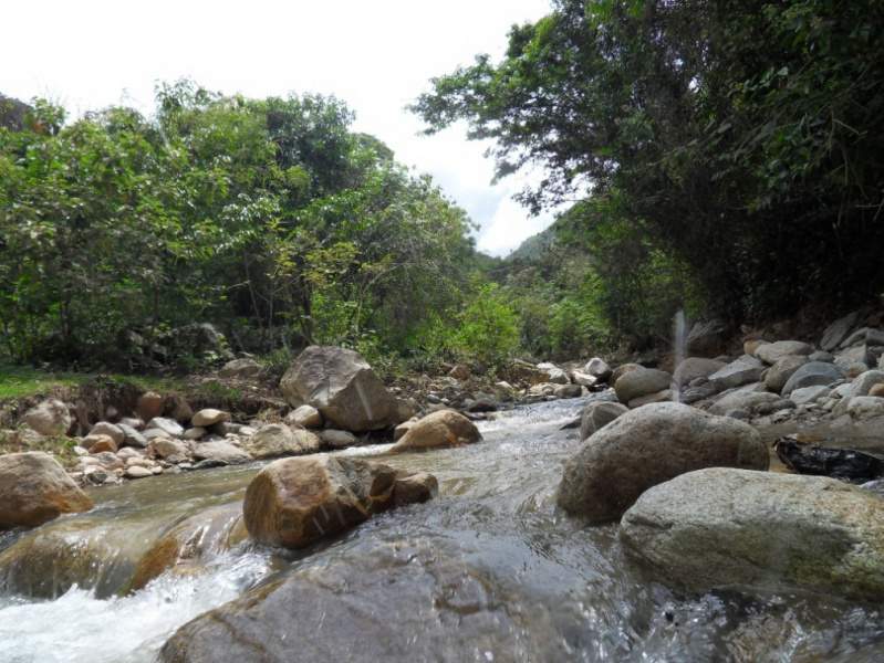 Archivo:Sdc15659.jpg
