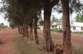 Miniatura de la versión del 13:32 31 ene 2020