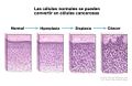 Miniatura de la versión del 09:16 16 abr 2020