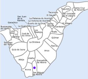 Mapa san miguel de abona.jpg