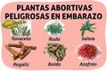 Miniatura de la versión del 14:31 17 mar 2021
