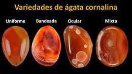 ACoralinaonaranja.jpg