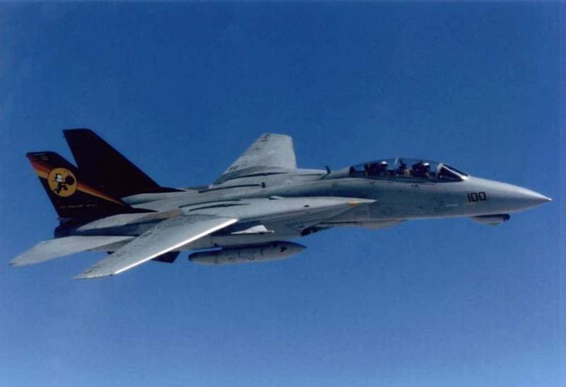 Archivo:AVIÓN DE CAZA ATAQUE F-14TOMCAT.jpg