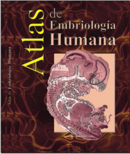 Atlas de embriología humana.png