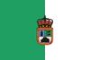 Bandera de Buenavista del Norte