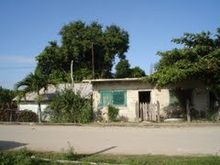 30447359 verde.jpg