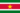 Bandera de Surinam.png