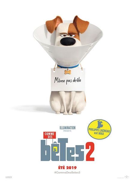 Archivo:Mascotas 2.jpg